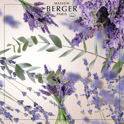 Lavendelblomster og grønne blade til Maison Berger duft
