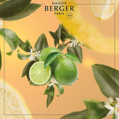 Lemon Flower reed diffuser med sorte duftpinde til hjemmet