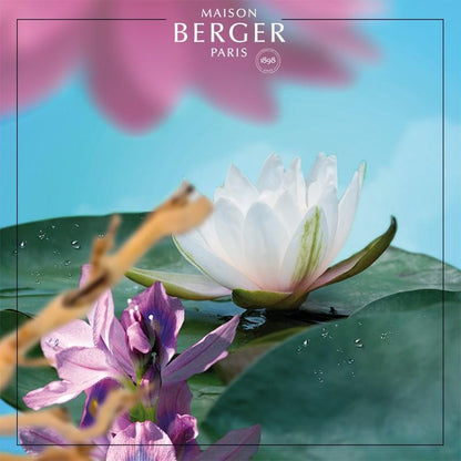 Nympheas Duftpinde Refill - Ren duft - Maison Berger