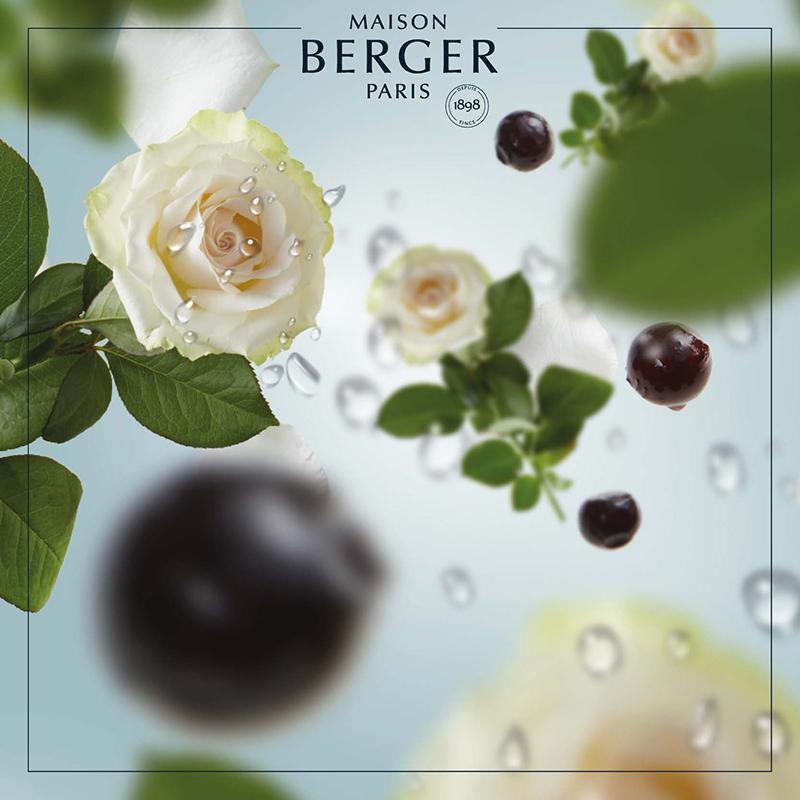 Maison Berger blomster og havnoter i duftbuket