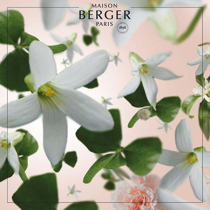 Blomsterduft refill til duftpinde med Jasmin - Maison Berger