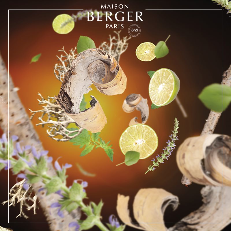 Maison Berger logo, naturinspireret baggrund med lime, ingefær og træ, dekorativ illustration
