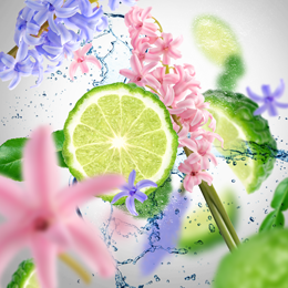 Lime og blomsterduft, frisk citrus og blomster, dekorativ baggrund